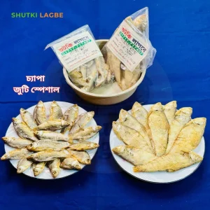 চ্যাপা জুটি স্পেশাল
