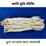 জাতি ছুরি শুঁটকি